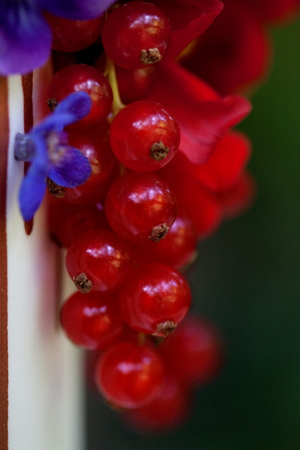 Berries on wedding cake