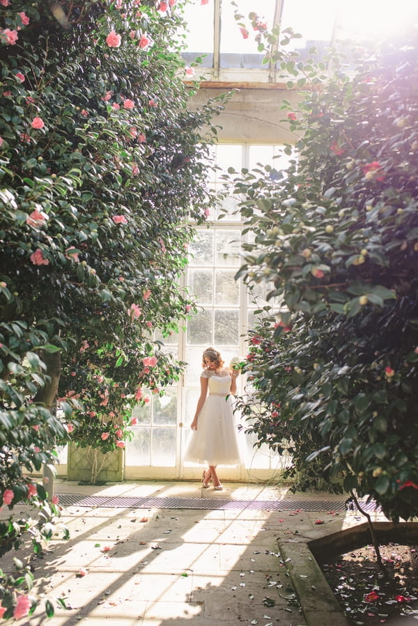 1950s bride standing in between trees indoors