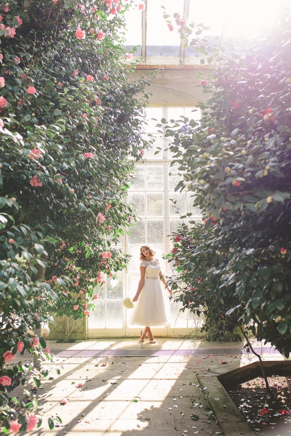 1950s bride standing in between trees indoors