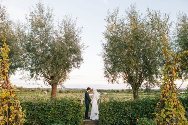 Bride and groom