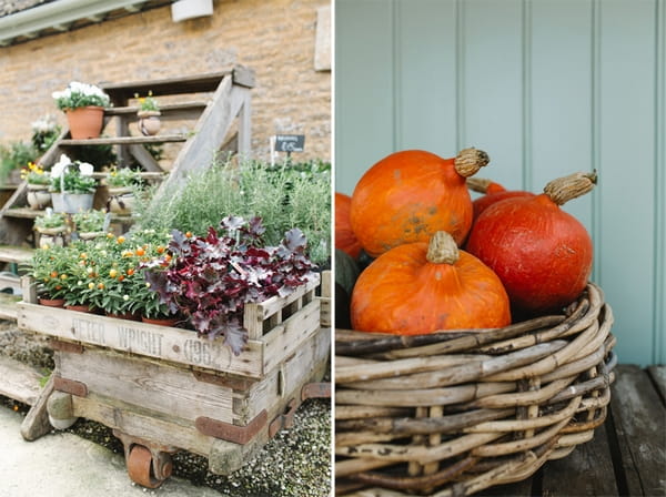 Fresh produce at Daylesford Farm