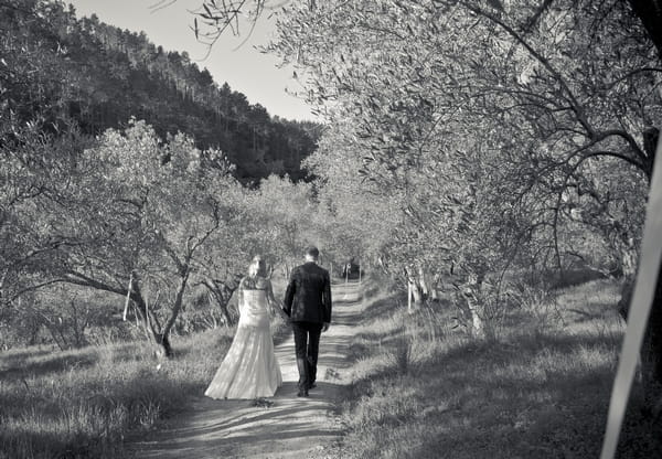 Bride and groom walking in vineyard