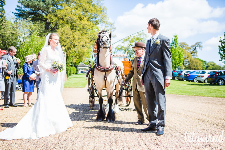 Bride and groom with horse and cart