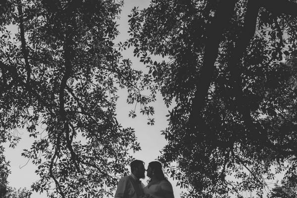 Bride and groom under tree