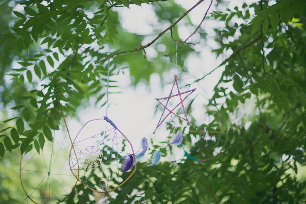 Dream catcher hanging in tree