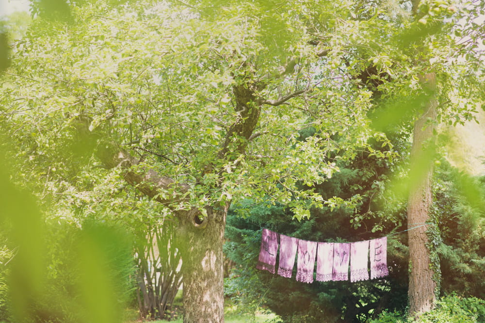 Love sign hanging in tree