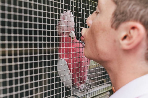 Man kissing bird