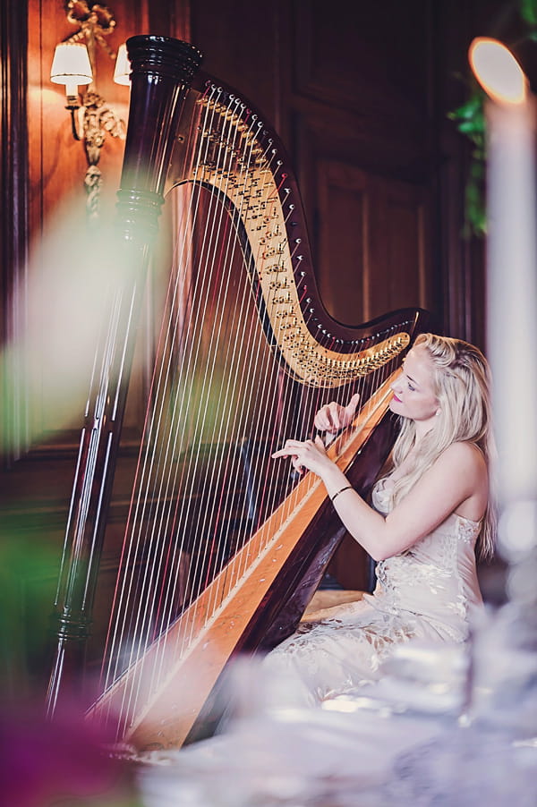 Harpist