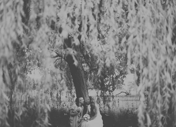 Brides under tree
