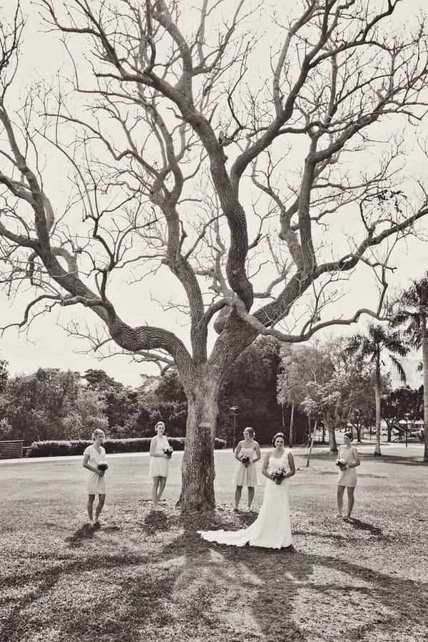 Bride and bridesmaids under a tree