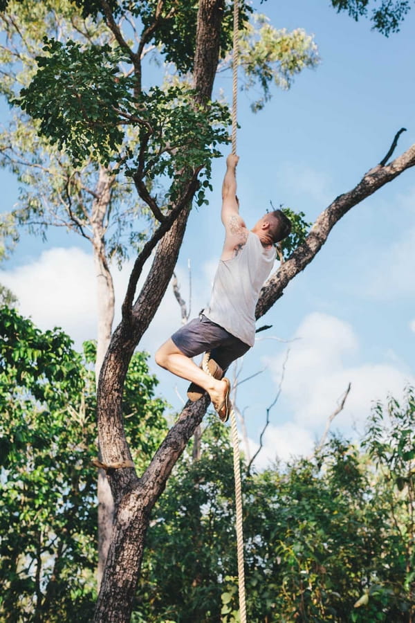 Man climbing tree