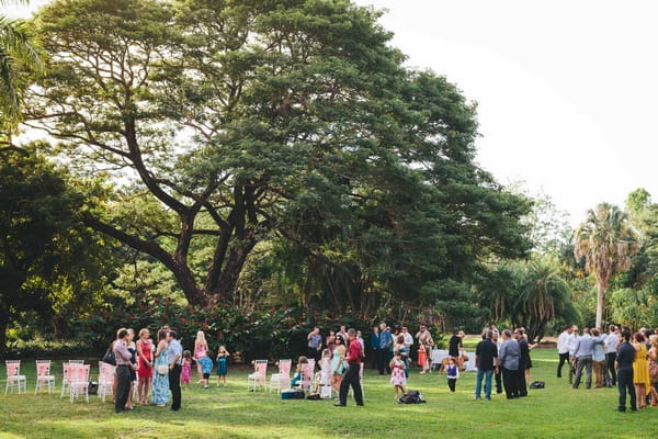 Wedding guests