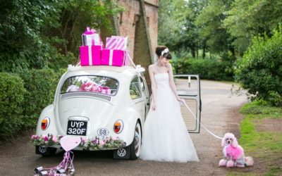 ‘Perfectly Pink’ Wedding Styling at Nonsuch Mansion
