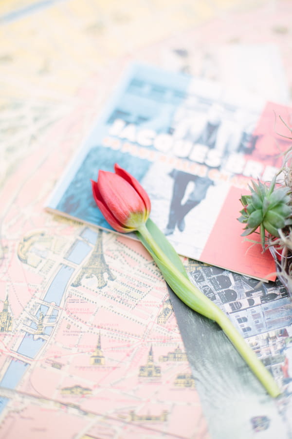 Tulip on table