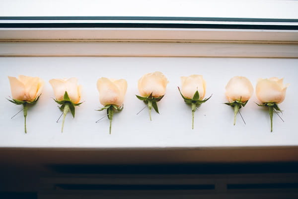 White rose buttonholes