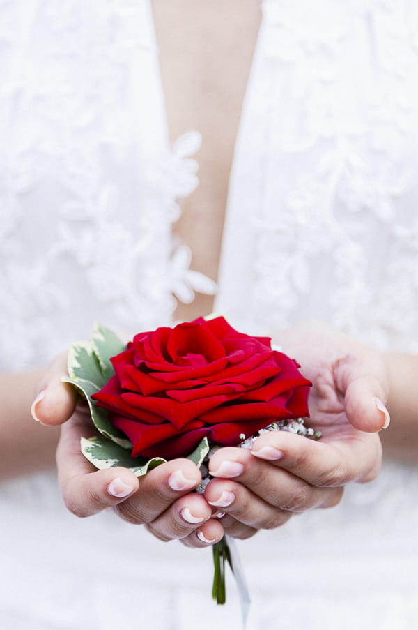 Red rose in bride's hands