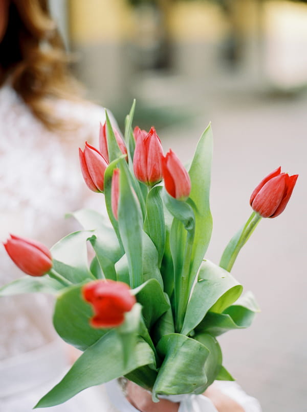 Red tulips