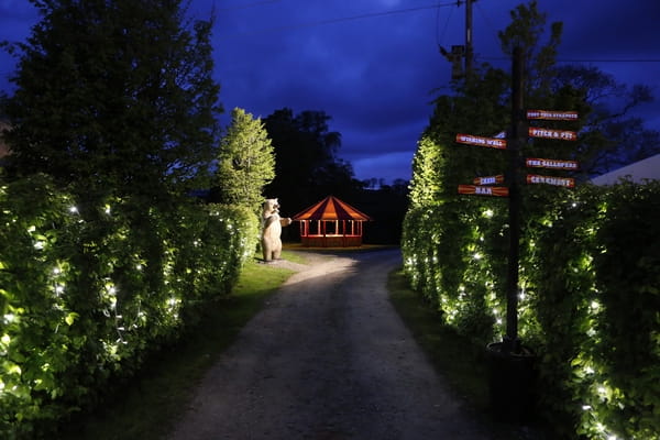 Bushes with fairy lights - More Weddings