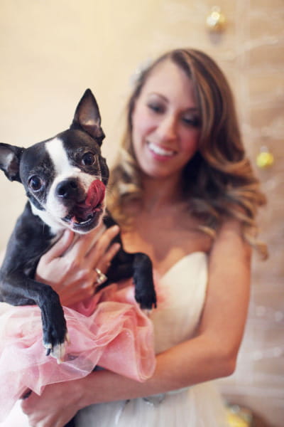 Bride holding dog