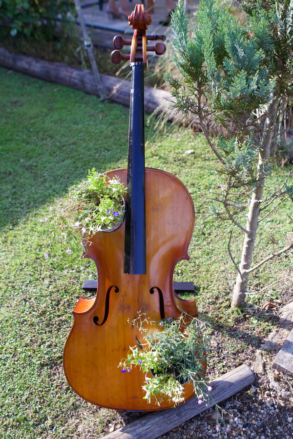 Cello with flowers in