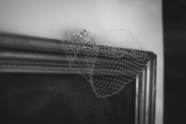 Birdcage veil