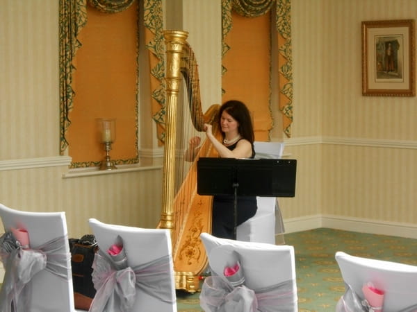 Michelle Dalton Playing the Harp at Wedding Ceremony