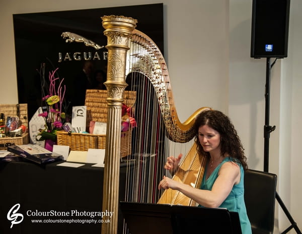 Michelle Dalton Playing the Harp