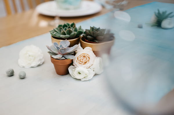 Succulents on table runner