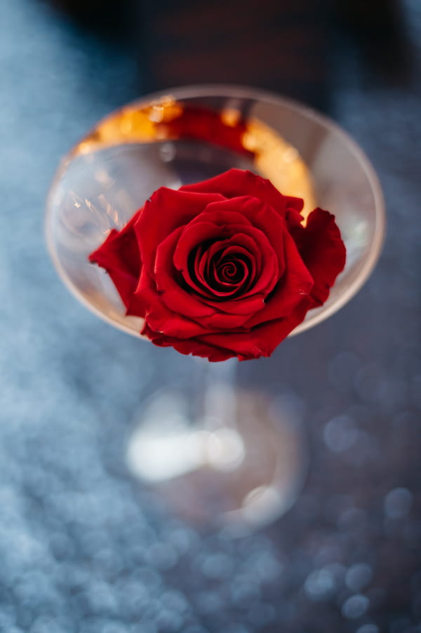 Red rose in cocktail glass