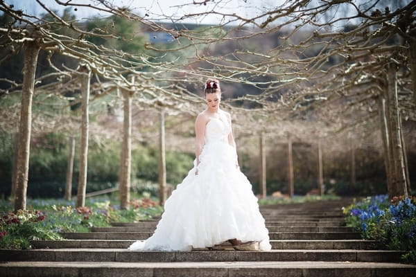 Bride on steps at Eden Project