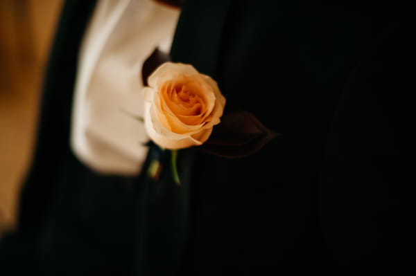 Groom's rose buttonhole