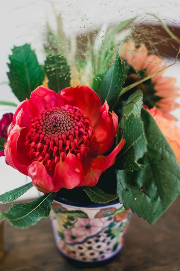 Large red flower