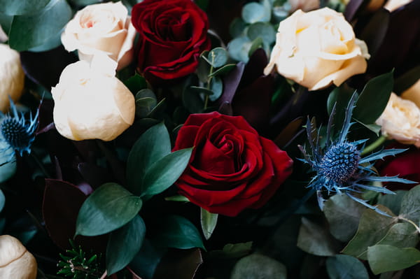 Red and cream roses