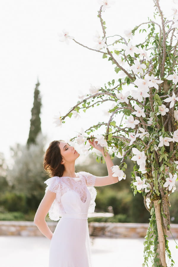 Bride smelling flower on tree