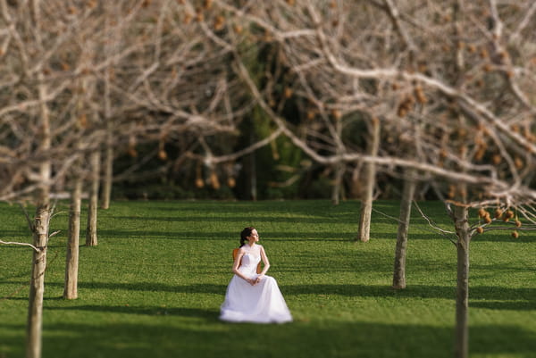 Bride sitting in chair surrounded by trees