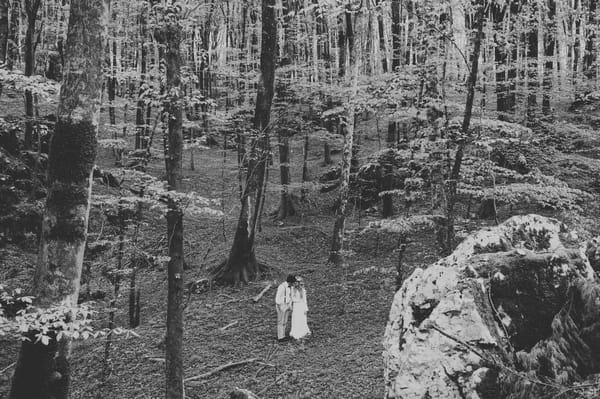 Bride and groom walking in woods