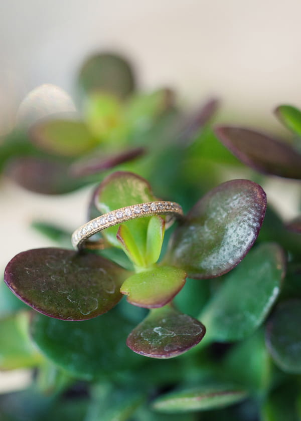 Wedding ring on succulents