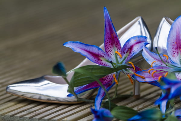 Oriental lily with silver wedding shoes