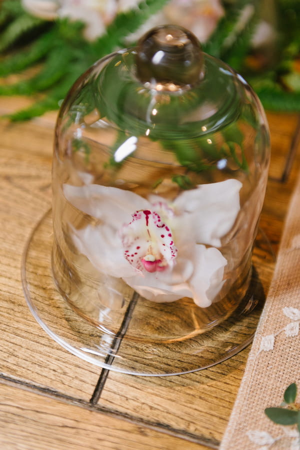 Flower under cloche