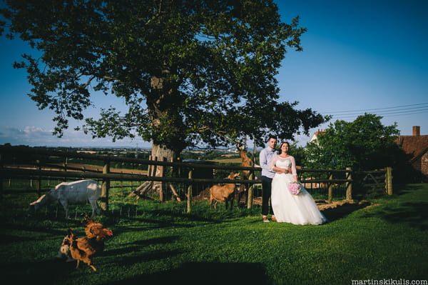 Bride and groom by goats at Huntstile Organic Farm