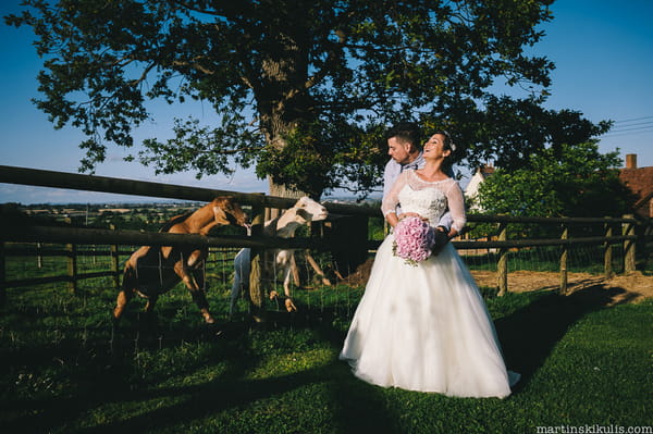 Goats trying to bite bride and groom