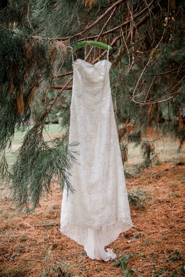 Wedding dress hanging from tree