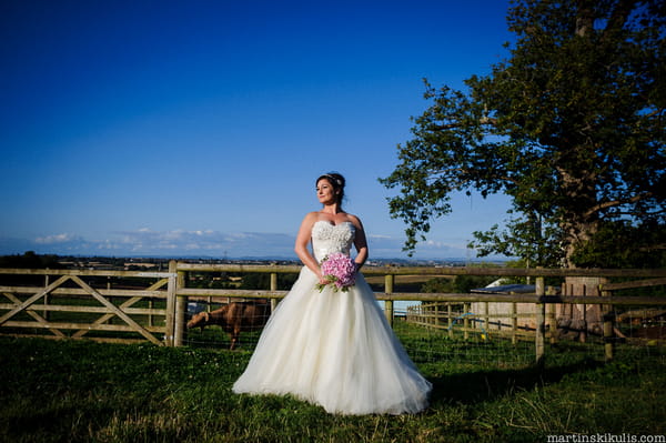 Bride standing in field at Huntstile Organic Farm