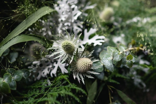Close-Up of Foliage in Wedding Bouquet