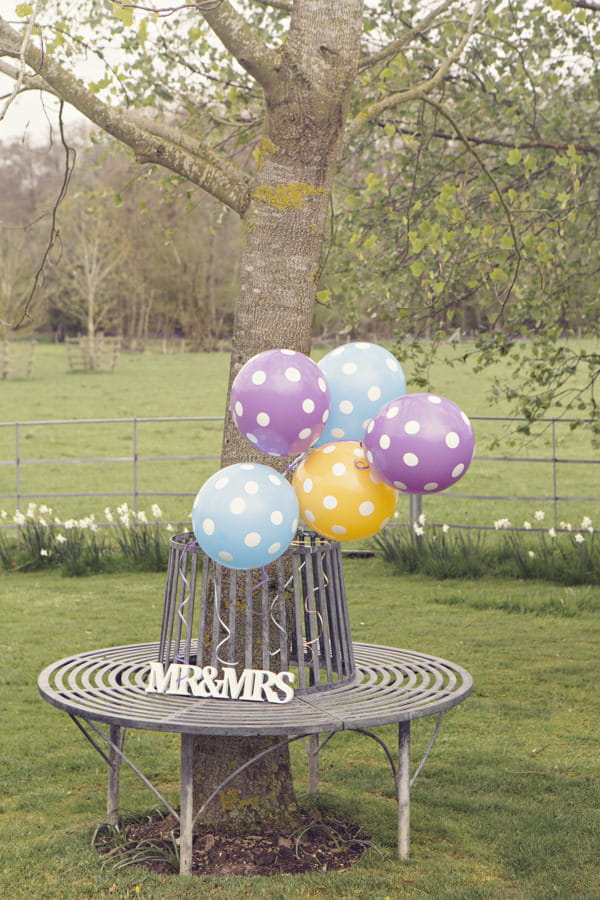 Spotty balloons tied to tree