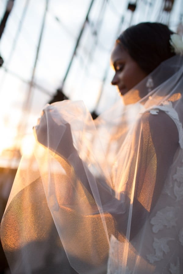 Bride with veil