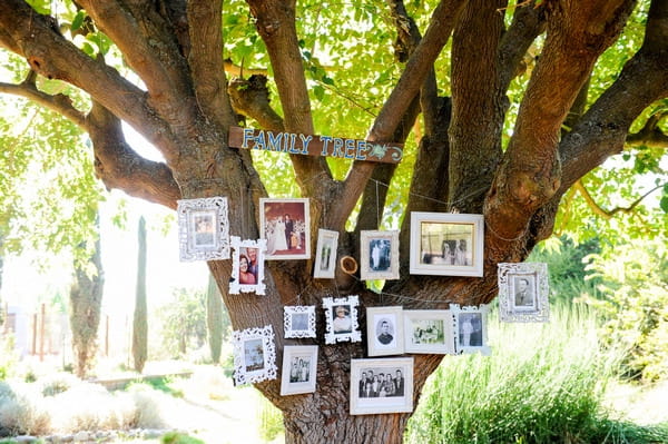 Pictures hanging in tree