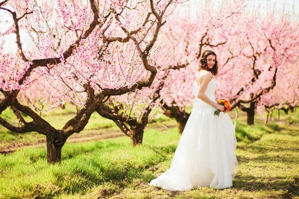 Bride walking past blossom covered trees