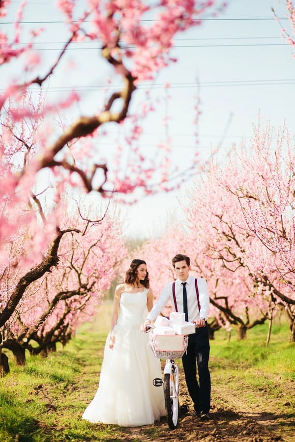 Bride and groom walking with bicycle past trees covered in blossom