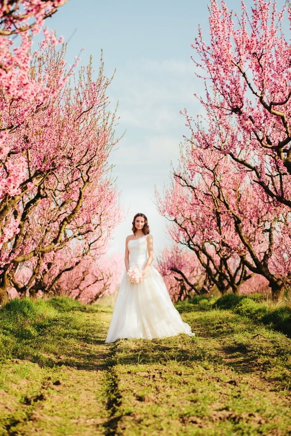 Bride surrounded by blossom covered trees